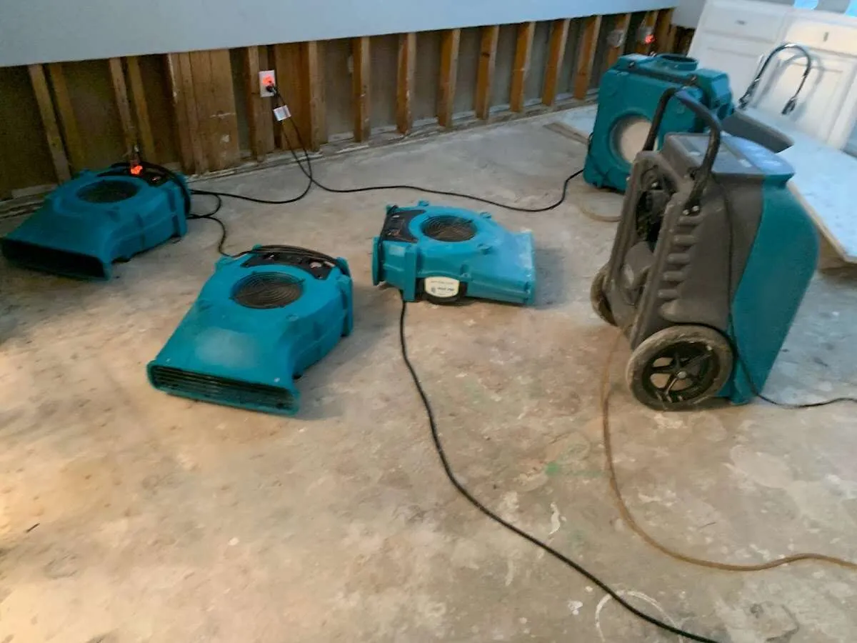 Water Damage Restoration services in Frankfort Square, IL